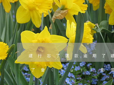 建行忘了還款逾期了(建行房貸逾期三天忘還了會(huì)影響信用嗎)