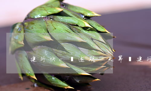 建行快e貸逾期一天算嗎(建行快貸寬限期)