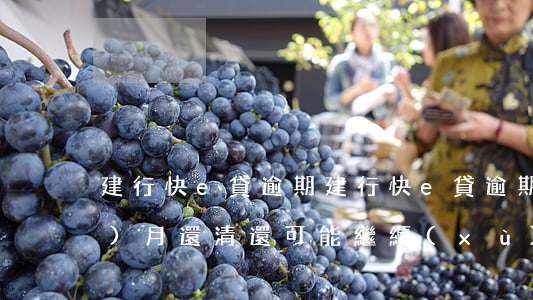 建行快e貸逾期(建行快e貸逾期3個(gè)月還清還可能繼續(xù)貸嗎)