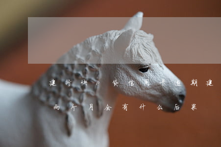 建行快e贷信用卡逾期(建设银行快e贷逾期两个月会有什么后果)
