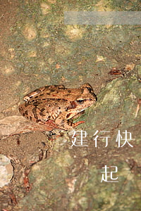 建行快貸2萬(wàn)逾期被起訴(建行快貸起訴我了)
