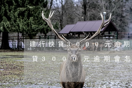 建行快貸3000元逾期會怎么樣-建行快貸3000元逾期會怎么樣嗎