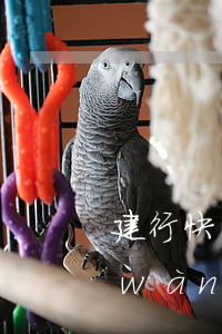 建行快貸3000逾期了(建行快貸30萬(wàn)訴訟)