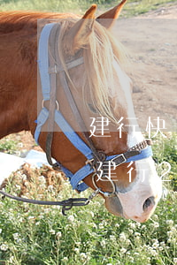 建行快貸7萬(wàn)逾期了150天-建行20萬(wàn)快貸逾期利息是多少