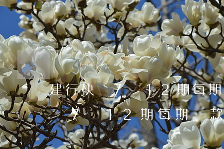 建行快貸7萬12期每期還款多少-建行快貸7萬12期每期還款多少錢