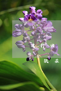 建行快貸sjd603還款在途-建行快貸還款在途是啥意思