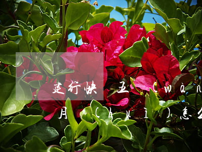 建行快貸五萬(wàn)逾期四個(gè)月會(huì)怎么樣-建行快貸五萬(wàn)逾期四個(gè)月會(huì)怎么樣嗎