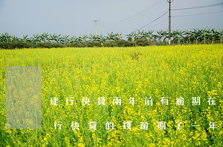 建行快貸兩年前有逾期(在建設(shè)銀行快貸的錢逾期了一年會怎么樣)