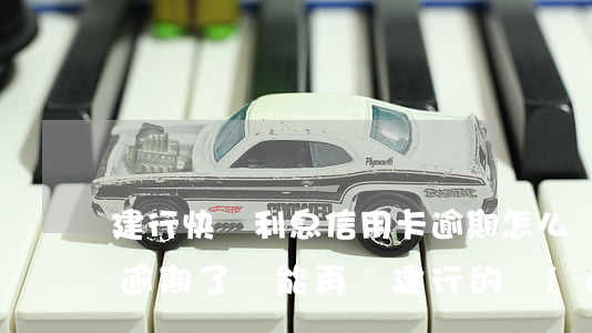 建行快貸利息信用卡逾期怎么辦(建行的快貸逾期了還能再辦建行的儲(chǔ)蓄卡嗎)