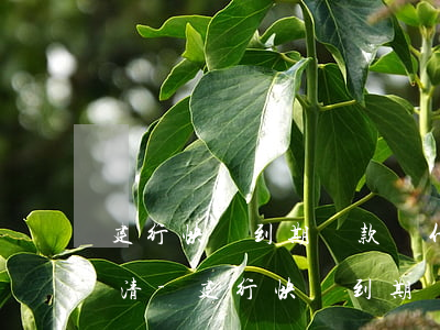 建行快貸到期還款為什么要點結(jié)清-建行快貸到期還款為什么要點結(jié)清才能還款