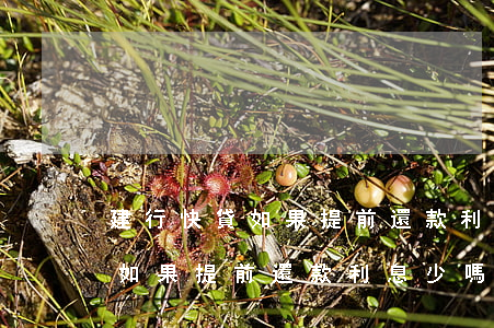 建行快貸如果提前還款利息少嗎-建行快貸如果提前還款利息少嗎怎么辦