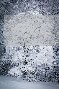 建行快貸如果逾期怎么辦(建行快貸無(wú)法還款)