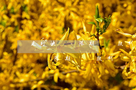 建行快貸寬限期內還款影響額度嗎-建行快貸寬限期內還款影響額度嗎知乎