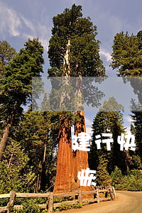建行快貸已結清 建行快貸已結清多長時間能恢復額度
