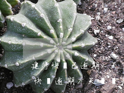 建行快貸已逾期7天了怎么辦，急需解決！建行快貸逾期7天，應該如何處理？