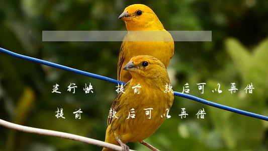 建行快貸提前還款后可以再借嗎-建行快貸提前還款后可以再借嗎