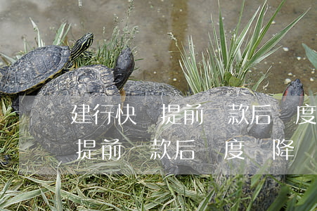 建行快貸提前還款后額度會降嗎-建行快貸提前還款后額度會降嗎怎么辦