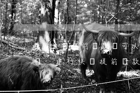 建行快貸提前還款還可以貸出來(lái)嗎-建行快貸提前還款還可以貸出來(lái)嗎安全嗎