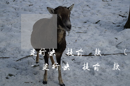 建行快貸提前還款還會(huì)收回本金-建行快貸提前還款還會(huì)收回本金嗎