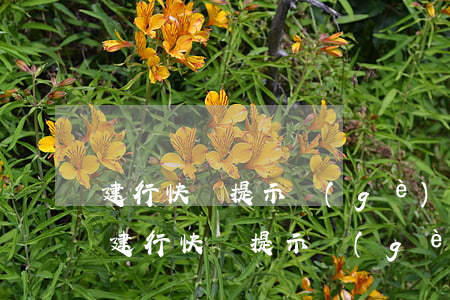 建行快貸提示個(gè)人貸款存在逾期-建行快貸提示個(gè)人貸款存在逾期怎么辦