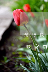 建行快貸提示當期逾期(建行快貸 您的個人貸款當前存在逾期)