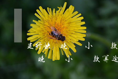 建行快貸晚幾個小時還款算逾期嗎-建行快貸晚幾個小時還款算逾期嗎怎么辦