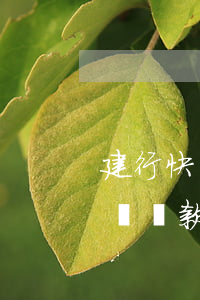建行快貸最佳還款方式是什么？詳解建行快貸還款方法