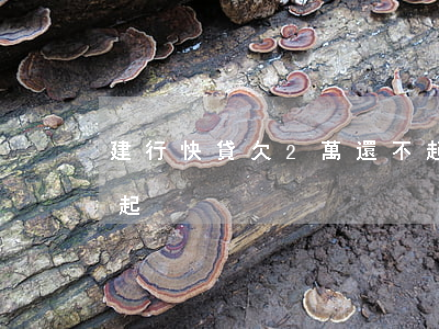 建行快貸欠2萬還不起(建行快貸20萬還不起)