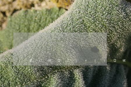建行快貸欠5400會被起訴嗎-