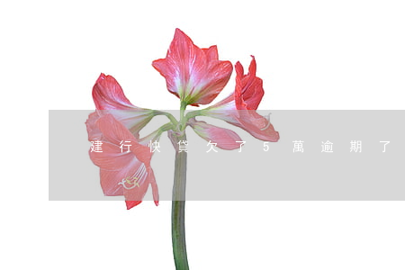 建行快貸欠了5萬逾期了(建行快貸逾期一周)