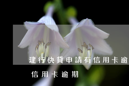建行快貸申請有信用卡逾期(建行快貸申請有信用卡逾期)