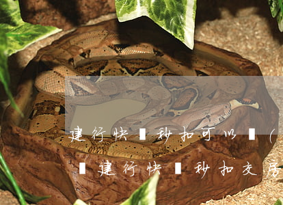 建行快貸秒扣可以協(xié)商嗎(怎么避開建行快貸秒扣交房貸)