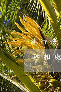 建行快貸秒扣處理方法2022-建行快貸秒扣處理方法2022年