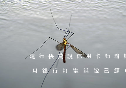建行快貸說信用卡有逾期(建行快貸逾期三個月銀行打電話說已經(jīng)起訴)