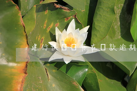 建行快貸說存在貸款逾期(建行快貸無法還款)