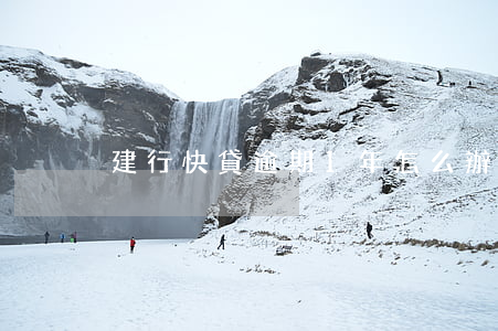 建行快貸逾期1年怎么辦