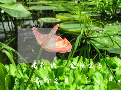 建行快貸逾期25萬(wàn)多久起訴-建行20萬(wàn)快貸逾期利息是多少