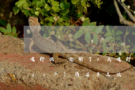 建行快貸逾期了1天(建行快貸逾期1天結(jié)清后多久恢復(fù)額度)