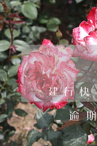 建行快貸逾期了會打村主任電話嗎-建行快貸逾期了會打村主任電話嗎怎么辦