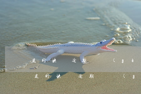 建行快貸逾期兩個(gè)月有什么影響-建行快貸逾期兩個(gè)月有什么影響嗎