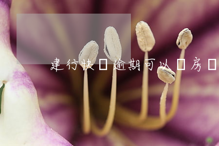 建行快貸逾期可以賣房嗎(建行快貸 逾期時間)