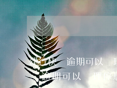 建行快貸逾期可以辦理停息掛賬嗎-建行快貸逾期可以辦理停息掛賬嗎