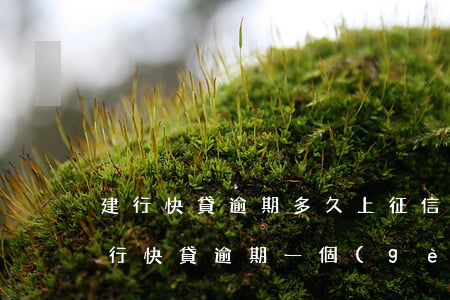建行快貸逾期多久上征信(建設(shè)銀行快貸逾期一個(gè)月后還清會(huì)怎么樣)