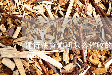 建行快貸逾期怎么催收的(建行快貸到期怎么辦)