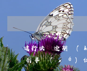 建行快貸逾期會(huì)構(gòu)成刑事責(zé)任嗎-建行快貸逾期會(huì)構(gòu)成刑事責(zé)任嗎知乎