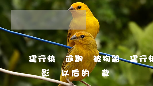 建行快貸逾期會被拘留嗎(建行快貸逾期一天會影響以后的貸款嗎)