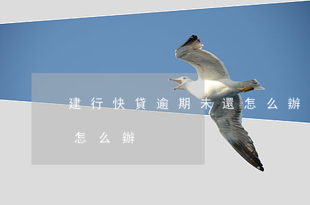 建行快貸逾期未還怎么辦(建行快貸逾期未還怎么辦)