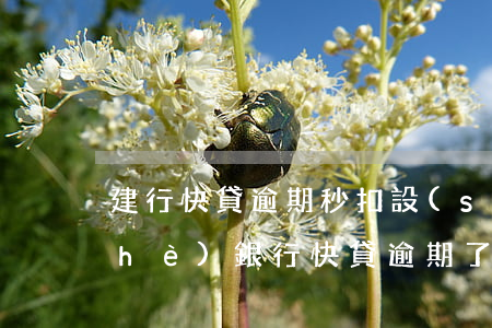 建行快貸逾期秒扣設(shè)備(建設(shè)銀行快貸逾期了每月自動扣幾千沒事)