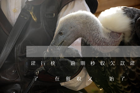 建行快貸逾期秒收欠款(建行快貸逾期4年多了,現在催收又開始了)