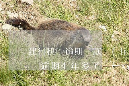 建行快貸逾期還款會(huì)怎樣(建行快貸逾期4年多了,現(xiàn)在催收又開始了)